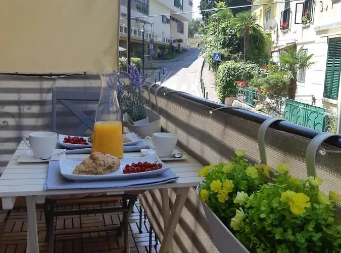 Rose オパティヤ